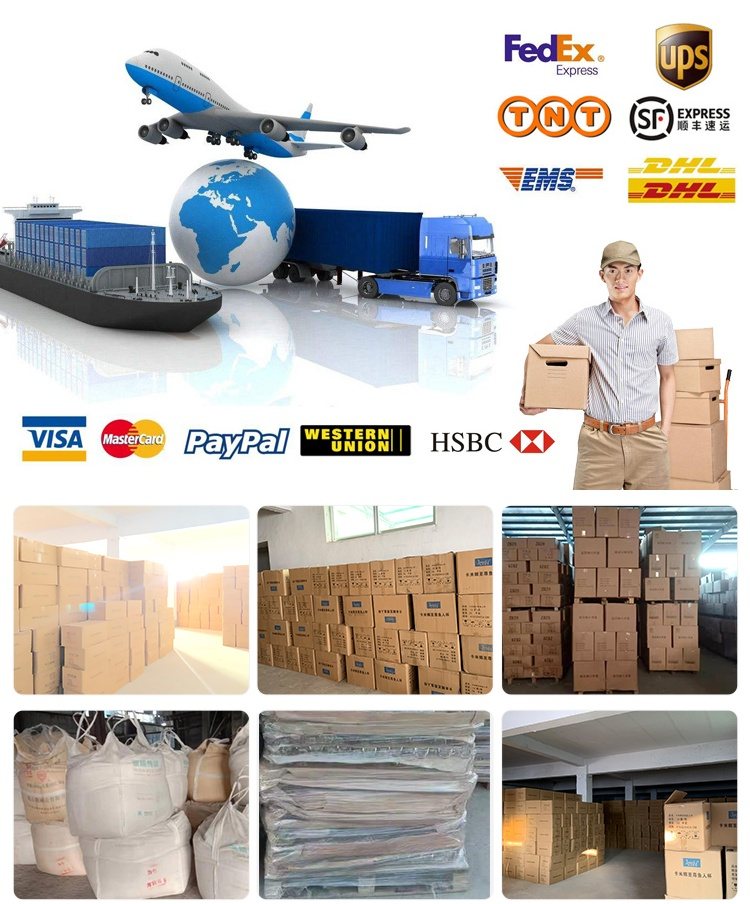 Export logistics and warehouse packaging